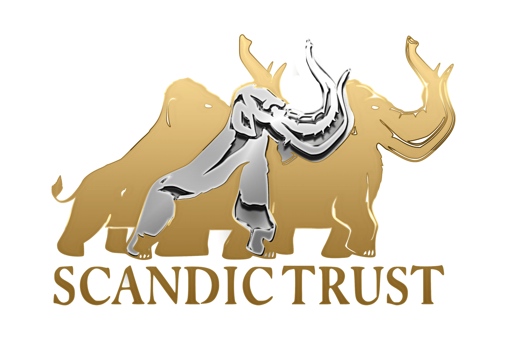 SCANDIC TRUST